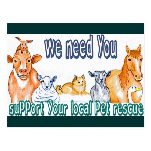 Pet Rescue Postcards