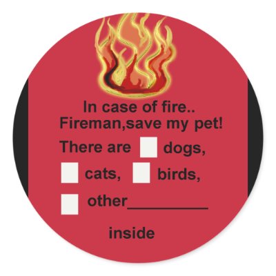 Pet Safety
