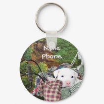 Pet Service Advertising keychains by beverlytazangel Pet Service Advertising keychains