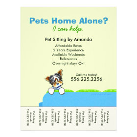 Pet Sitter Ad Yorkie Couch Green Tear Sheet Flyers