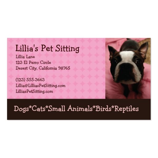 Pet Sitter Boston Terrier DoubleSided Standard Business Cards (Pack Of 100) Zazzle