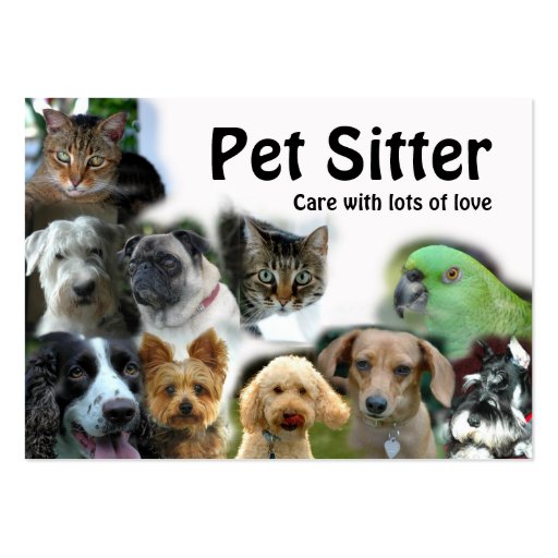 Pet Sitter Business Card (front side)