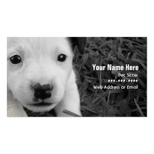 Pet Sitter Business Card - Jack Russell Puppy (front side)