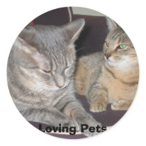 Pet sticker