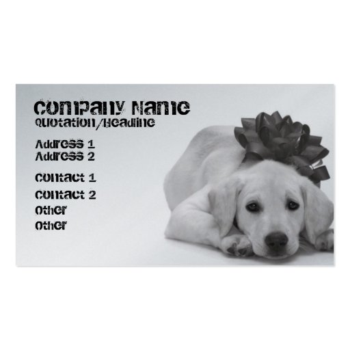 Pet Supply/Groomer/Etc. Business Cards