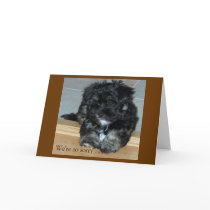 Pet Sympathy cards