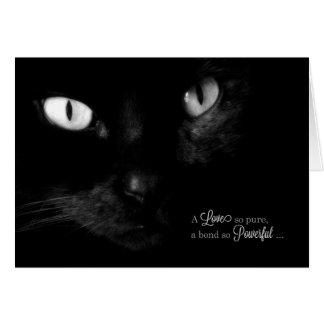 what to write in a pet sympathy card what to write in a pet sympathy card