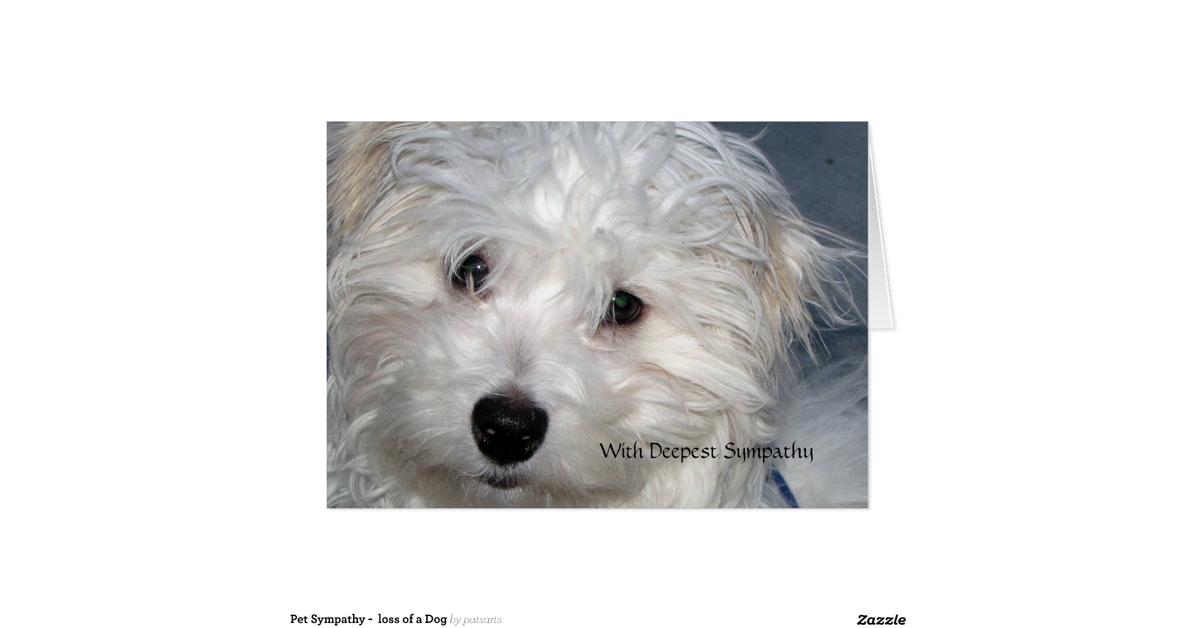 loss of a pet sympathy loss of a greeting card zazzle loss of a pet sympathy loss of a greeting card zazzle