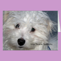 Pet Sympathy -  loss of a Dog cards