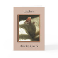 Pet Sympathy Loss of Cat Card card