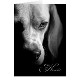 Pet Sympathy | Loss of Dog | Beagle Black Greeting Card