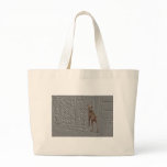 Pet Walker or Pet Sitter Bag