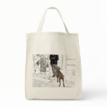 Pet Walker or Pet Sitter Bag