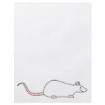 Pet White Rat Flyers