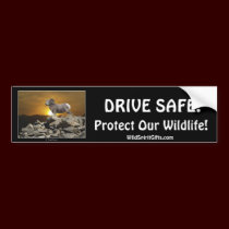 PET  & WILDLIFE PROTECTION Bumper Stickers bumper stickers