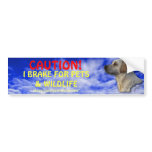 Pet &amp; Wildlife Safety Bumper Sticker