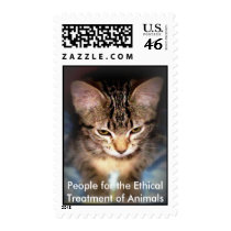 PETA Animal Stamp