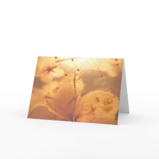 Petal Baby Greeting Card card