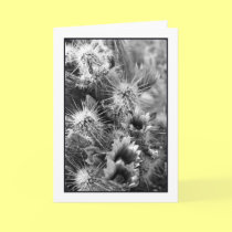 Petal Opposites Greeting Card cards