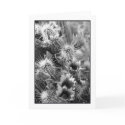 Petal Opposites Greeting Card