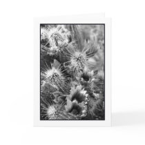 Petal Opposites Greeting Card