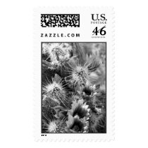 Petal Opposites Stamp