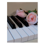 Petal Pink Keys Postcard