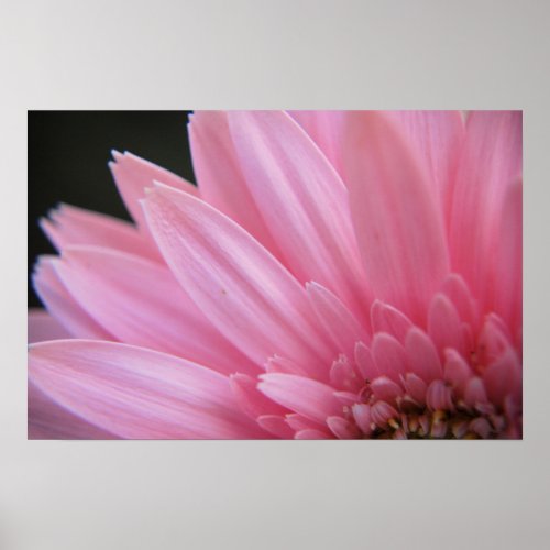 Petal Pink Poster print