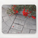 Petali Rossi mousepads by bhbphotos Petali Rossi mousepads