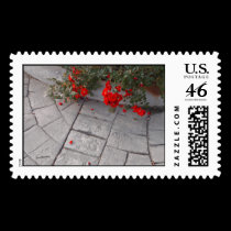 Petali Rossi stamps