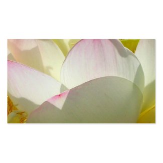 Petals profilecard