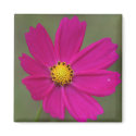 petals magnet
