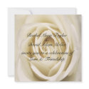 Petals Of Love, White, Wedding Invitations zazzle_invitation