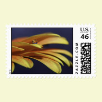 Petals postage