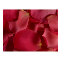 Petals posters by daysrays Petals posters