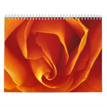 Petals Rose calendars by jameshenrydosher Petals Rose calendars