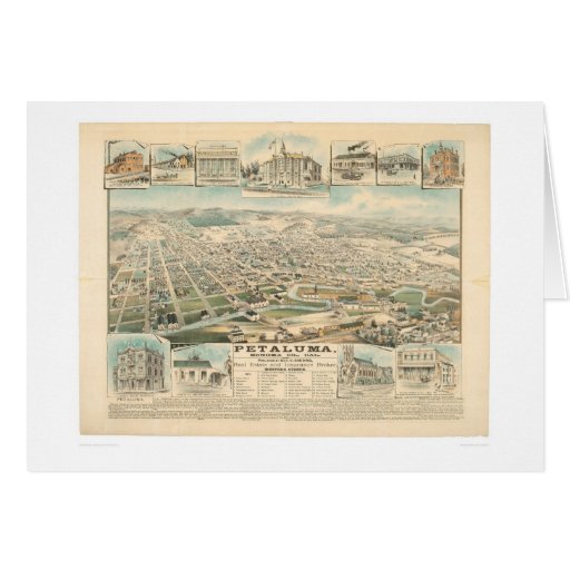 Petaluma, CA. (1314A) Cards