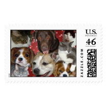 PetCollage, Happiness postage by BlndVnus PetCollage, Happiness postage