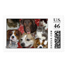 PetCollage, Happiness Stamps