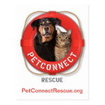PetConnect Rescue Post Card