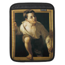 Pete Borrell del Caso: Escaping Criticism Ipad Sleeves