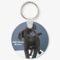 Pete keychains by okcshelter Pete keychains