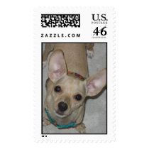 "Pete" postage by vndnbr7 "Pete" postage