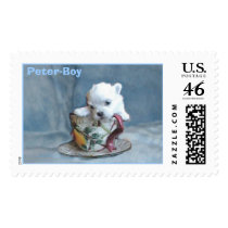Peter-Boy postage
