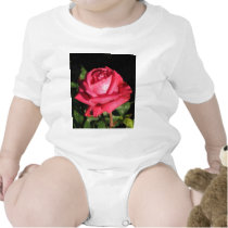 Peter Frankenfeld Hybrid Tea Rose 001 t-shirts by MobyD46 Peter Frankenfeld Hybrid Tea Rose 001 t-shirts