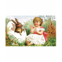 Peter Marselly Shoe Store Girl with Rabbit t-shirts