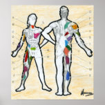 Peter Max style signed muscle chart drawing posters