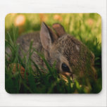Peter Mouse Pad