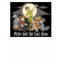Peter Pan Peter Pan and the Lost Boys Disney T Shirts Peter Pan Peter Pan and the Lost Boys Disney T Shirts