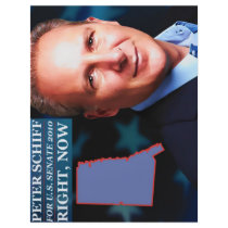 Peter Schiff for Senate Flyer